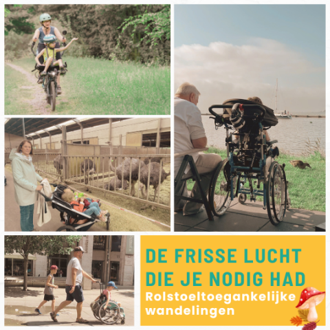 De frisse lucht die je nodig had: rolstoelvriendelijke herfst- en winterwandelingen