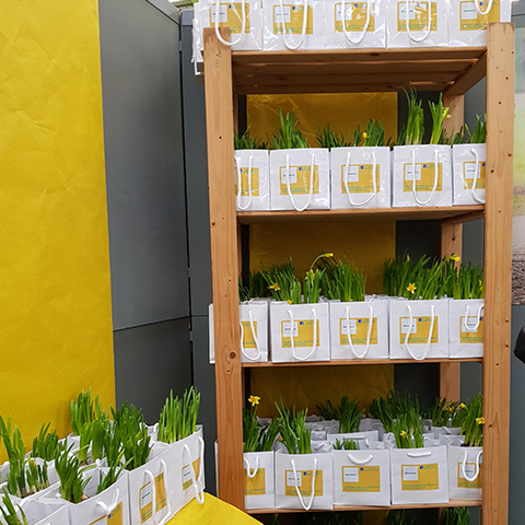 De Ouders op de Kangoeroebeurs: een groot succes!