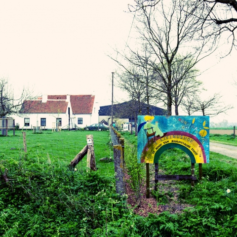 Groene zorg iets voor jou?