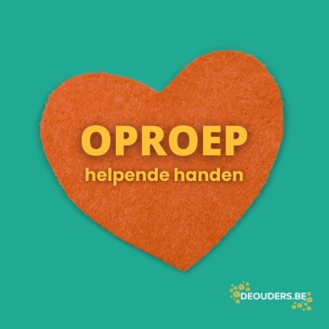 Handen te kort bij uitstapjes? Zo vraag je eenvoudig om de juiste hulp.
