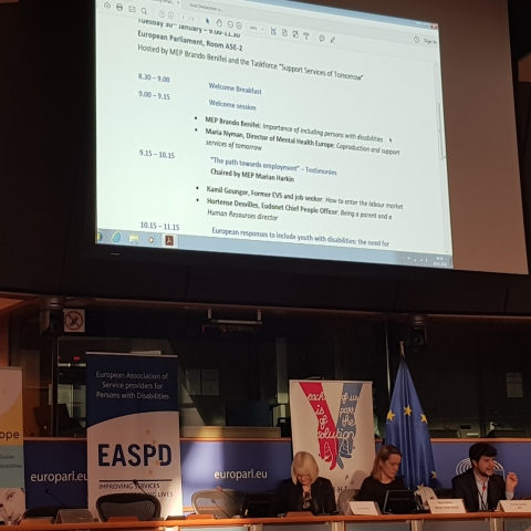 Wendelien in het Europees Parlement